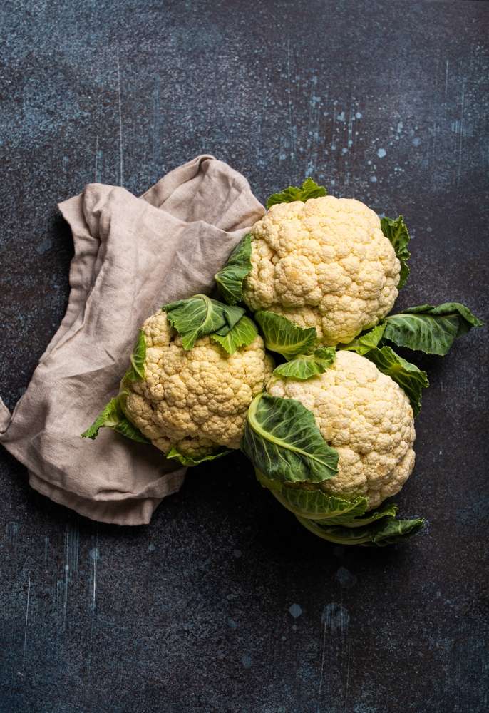 Blumenkohl