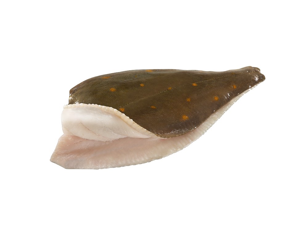 Nordsee Scholle ohne Gräten 250-300g