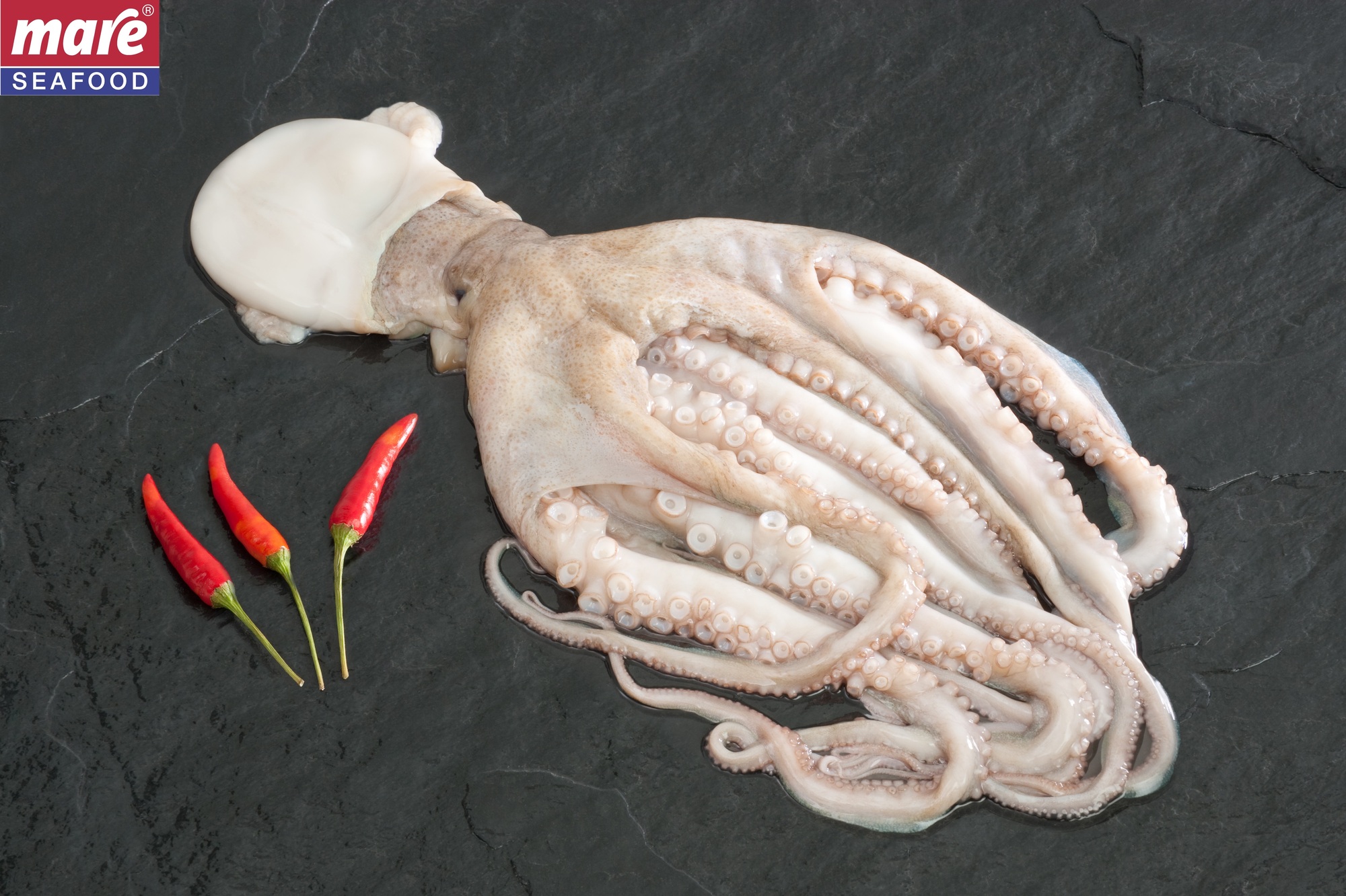 Oktopus mit Kopf L2gereinigt 1000-2000g
