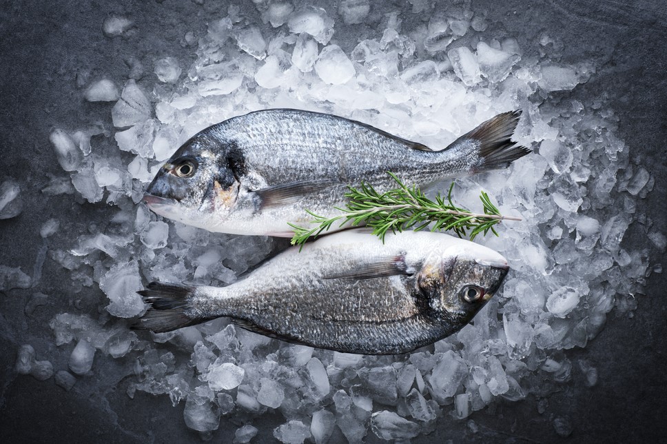 Dorade ganz geschuppt und ausgenommen 300-400g