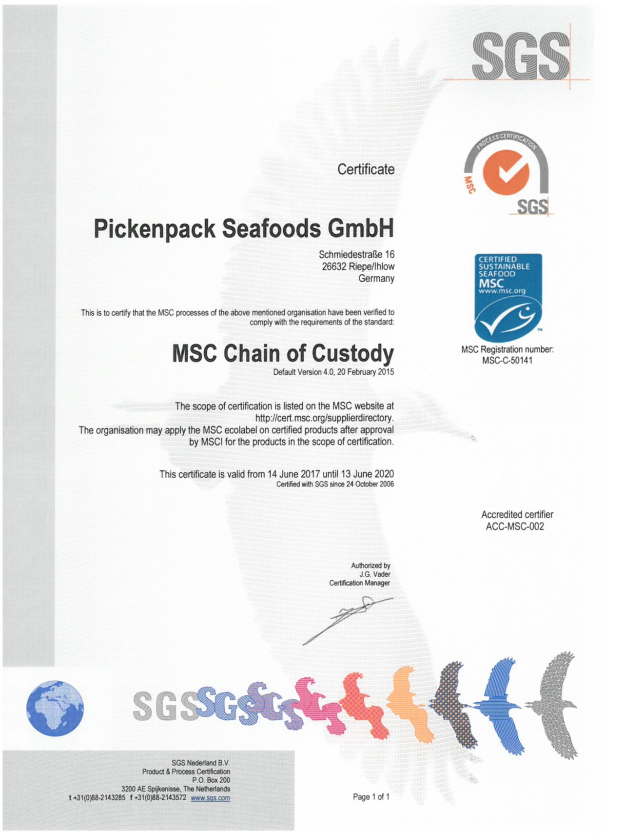 MSC Alaska-Seelachs im Backteig 6000g