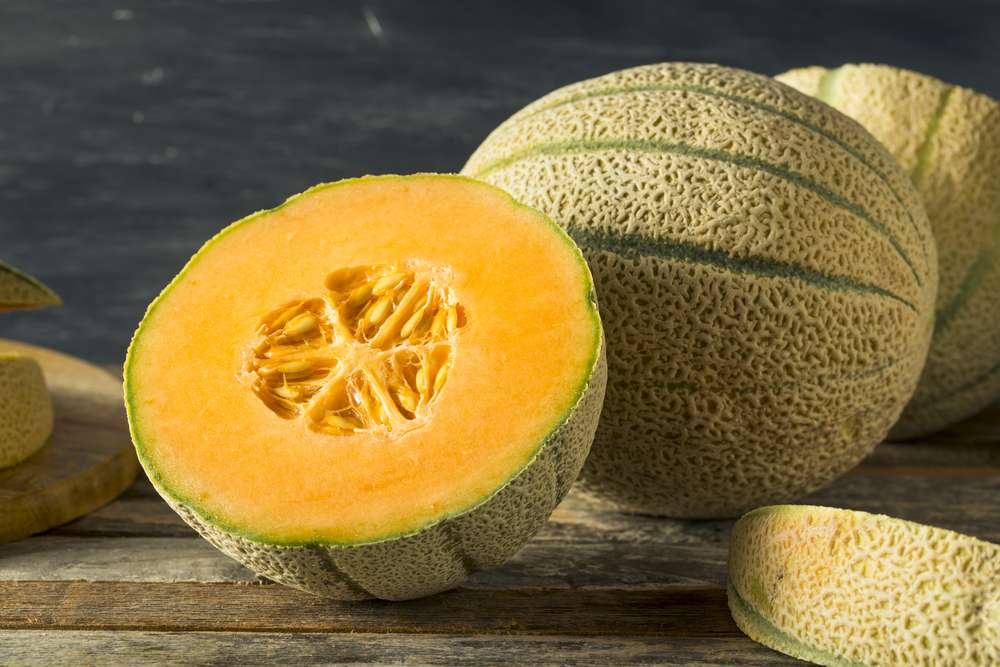 Cantaloupe Melone 5er