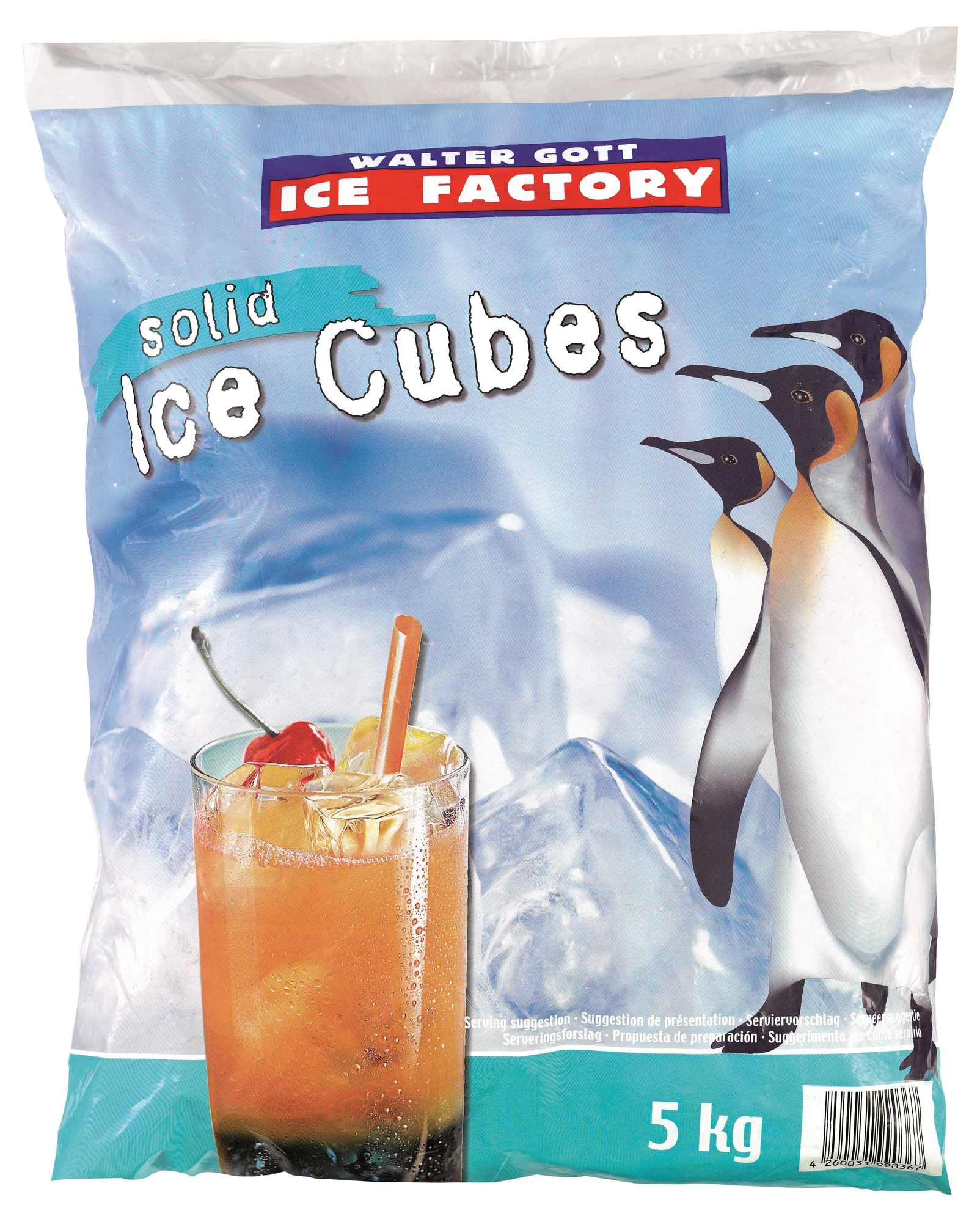 Solid Ice Cubes 5000g