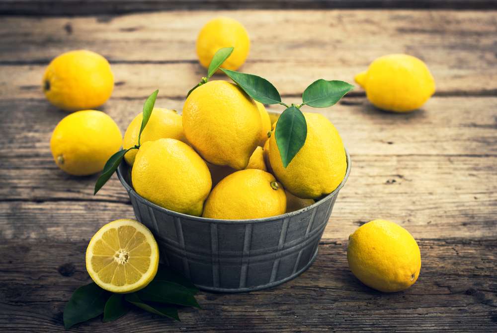 Zitronen 4 Stk im Netz