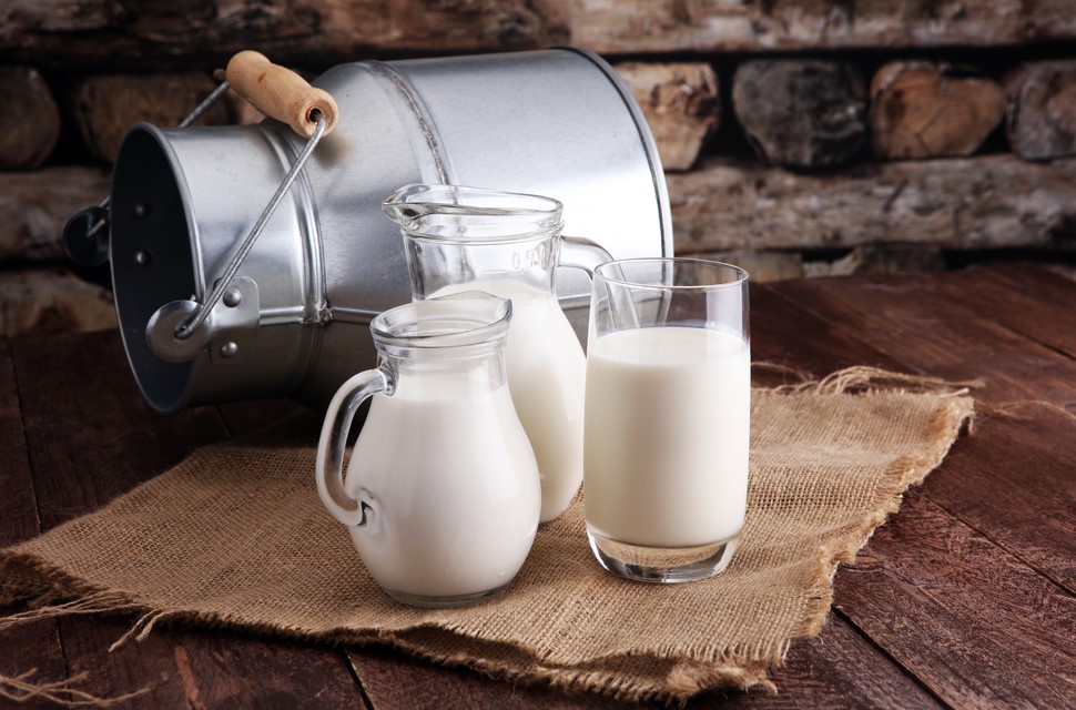 Gastro H-Milch 1,5% Fett 1000ml