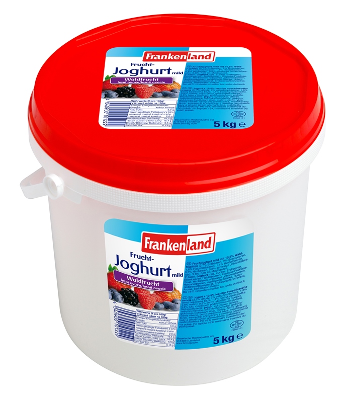 Frucht-Joghurt Waldbeere 5000g