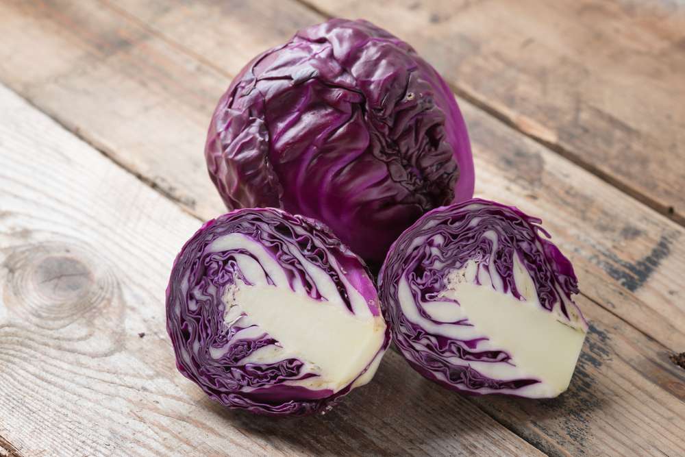 Rotkohl 15kg