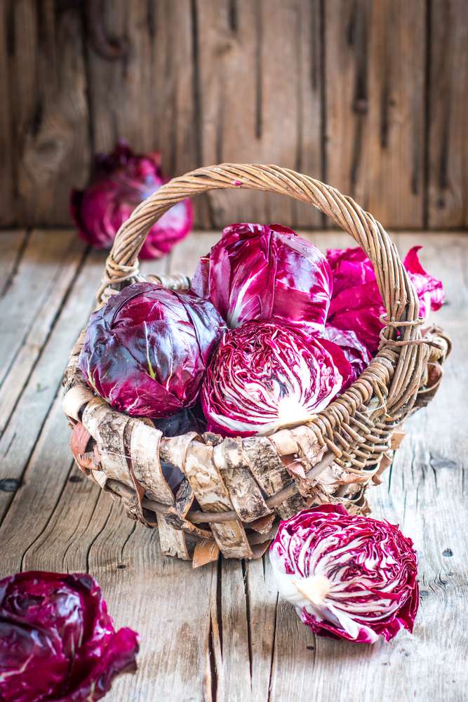 BIO Radicchio 3000g