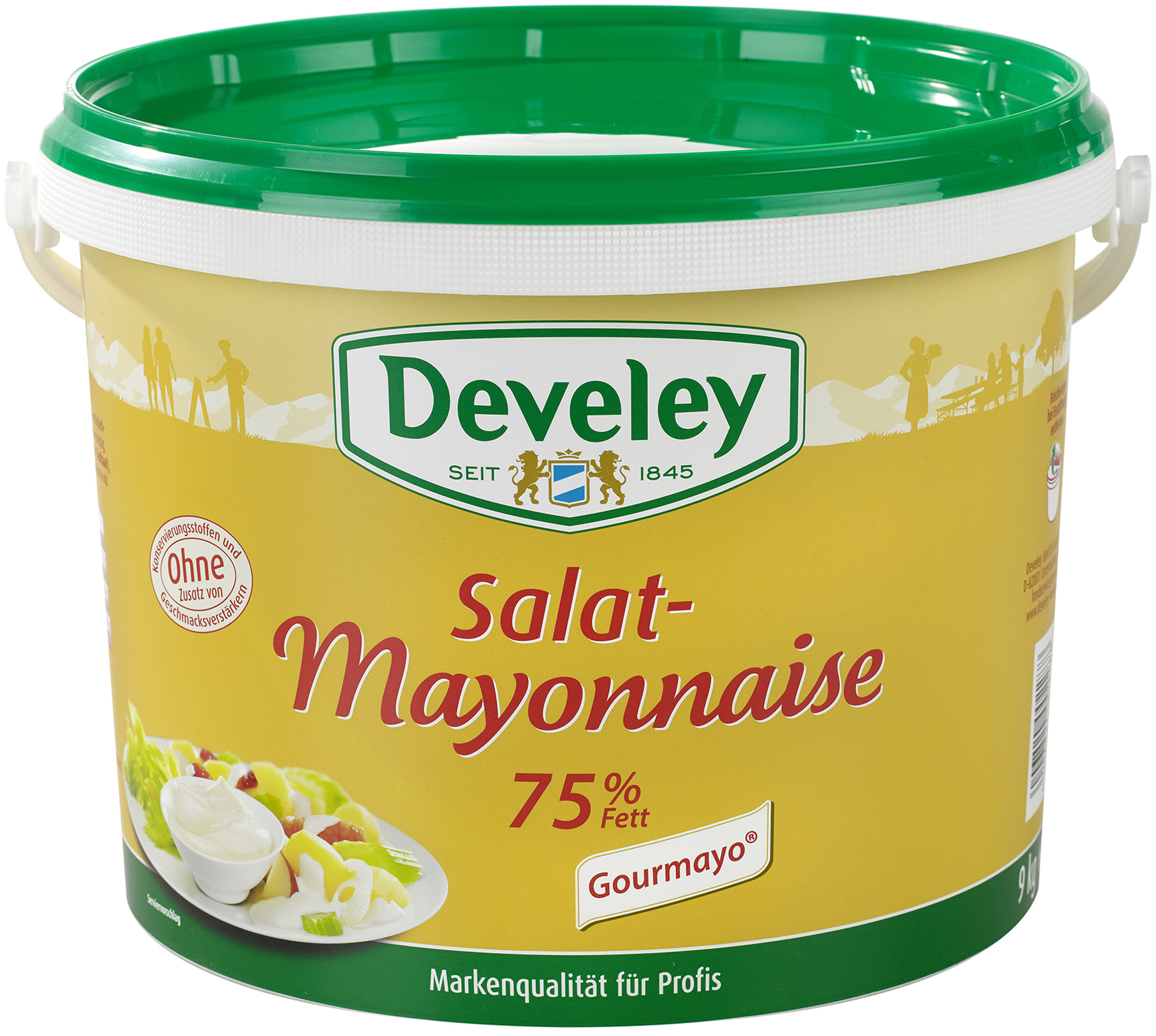 Salat-Mayonnaise 74% Fett 9000g